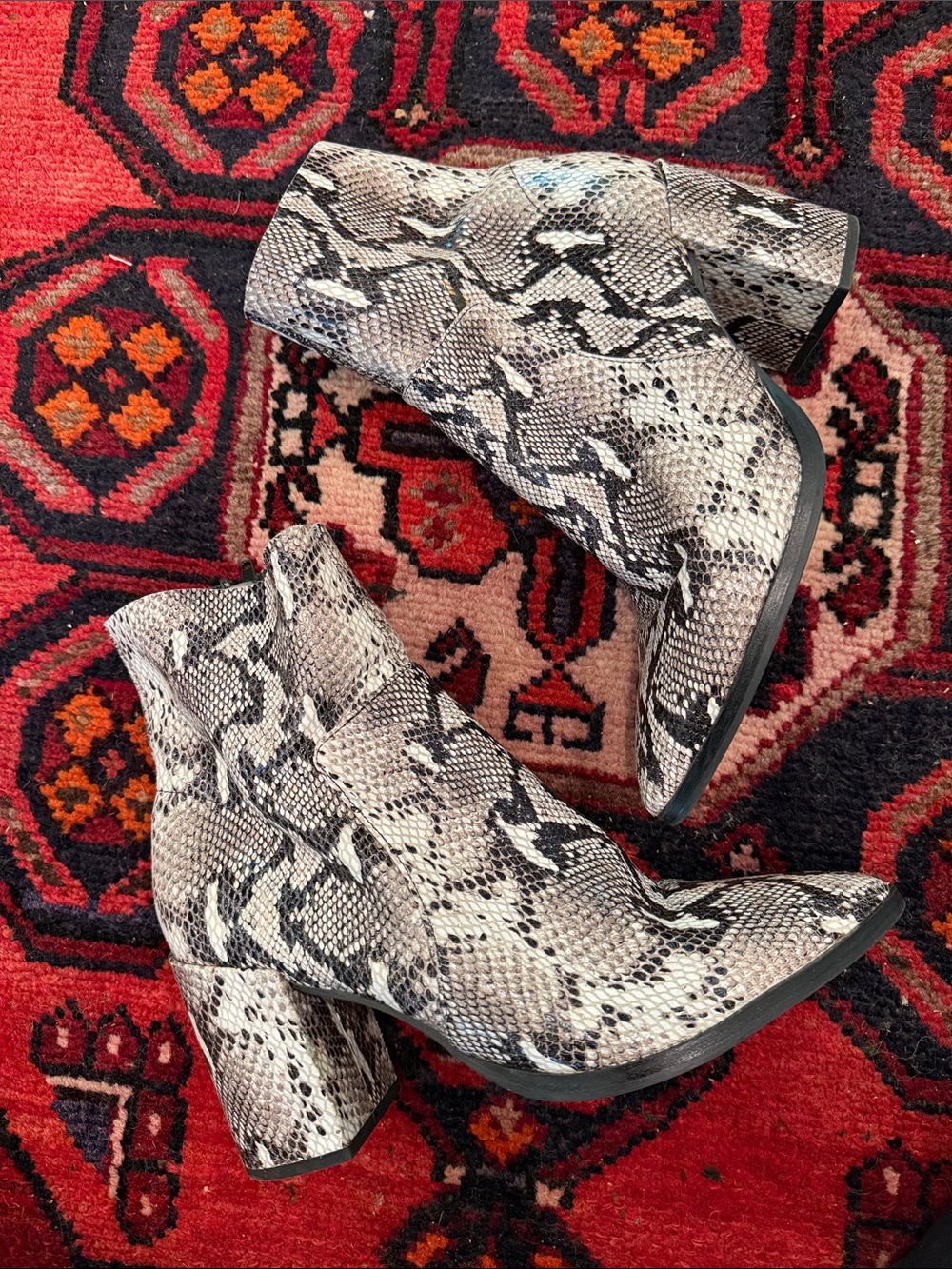 Tony Bianco Snake-Print Ankle Boots - White & Black